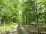 1555 Brown Creek Drive - Photo 19