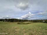 20.14 ac Billy Ridge Rd - Photo 4