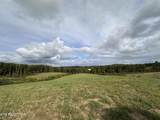 20.14 ac Billy Ridge Rd - Photo 6