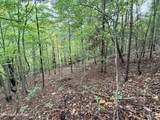 Lot 192 Clinch View Road - Photo 10