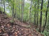 Lot 192 Clinch View Road - Photo 11
