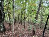 Lot 192 Clinch View Road - Photo 13