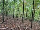 Lot 192 Clinch View Road - Photo 14