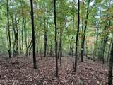 Lot 192 Clinch View Road - Photo 15