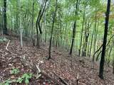 Lot 192 Clinch View Road - Photo 16