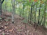 Lot 192 Clinch View Road - Photo 17