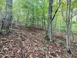 Lot 192 Clinch View Road - Photo 18
