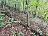 Lot 192 Clinch View Road - Photo 19