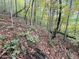 Lot 192 Clinch View Road - Photo 21