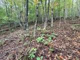 Lot 192 Clinch View Road - Photo 22
