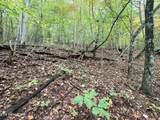 Lot 192 Clinch View Road - Photo 24