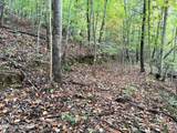 Lot 192 Clinch View Road - Photo 25