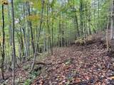 Lot 192 Clinch View Road - Photo 26