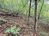 Lot 192 Clinch View Road - Photo 27