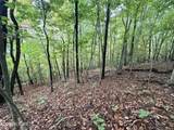 Lot 192 Clinch View Road - Photo 30