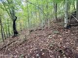 Lot 192 Clinch View Road - Photo 33