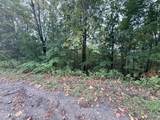 Lot 192 Clinch View Road - Photo 37