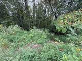 Lot 192 Clinch View Road - Photo 4
