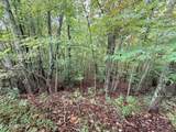 Lot 192 Clinch View Road - Photo 8