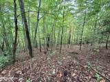 Lot 192 Clinch View Road - Photo 9