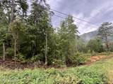 Lot 97 Bluff Ridge Rd - Photo 5