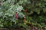 Lot 93 Saddle Ridge Drive - Photo 20