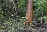 Lot 93 Saddle Ridge Drive - Photo 29