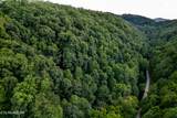  Hidden Hollow Way - Photo 12