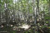 Lot 1 Arrow Trail - Photo 20