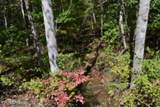 Lot 1 Arrow Trail - Photo 29