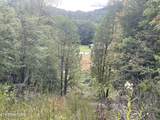  Buffalo Creek Rd - Photo 10