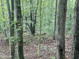  Buffalo Creek Rd - Photo 6