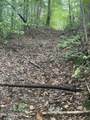  Buffalo Creek Rd - Photo 9