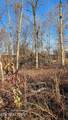Lot 5 Sugar Maple Court - Photo 6