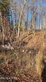 Lot 5 Sugar Maple Court - Photo 7