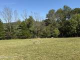 1.85 AC Cane Creek Cummingsville Rd - Photo 11