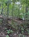  Lot 167 Laurel Lake Circle - Photo 2