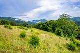 145 Mountain Mist Drive - Photo 8