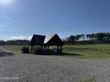 417 Ladybug Lane - Photo 24