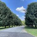 2709 Roberts Rd - Photo 5