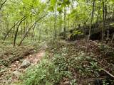 3341 Stoney Fork Rd - Photo 18