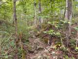 3341 Stoney Fork Rd - Photo 21