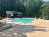  Smoky Cove Rd - Photo 10