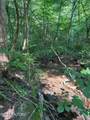  Smoky Cove Rd - Photo 5
