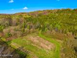 Tract 1 Dumplin Valley Rd - Photo 16