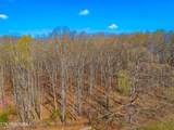 Tract 1 Dumplin Valley Rd - Photo 8