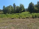 LOT 41 Meadow (W/Dock) Lane - Photo 1