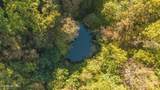 69.26 AC Wolfe Rd - Photo 13