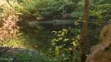 69.26 AC Wolfe Rd - Photo 15