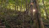 69.26 AC Wolfe Rd - Photo 16